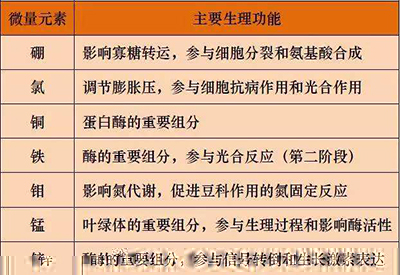 全自动微量元素检测仪厂家微量元素的对人体的生理作用